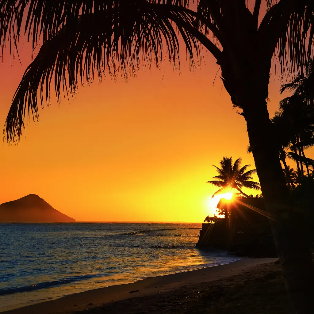 A stunning Hawaii beach at sunset, with golden skies, palm trees, and ocean waves gently touching the shore. Transportvibe