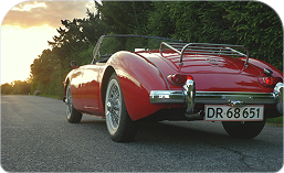 Covered Vehicle Transport 5 Rectangle 343